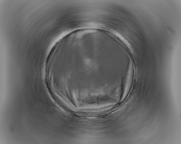 X0000112931477200909141323