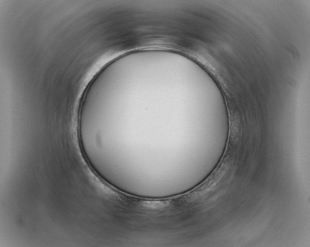 X0000112931478200909141323