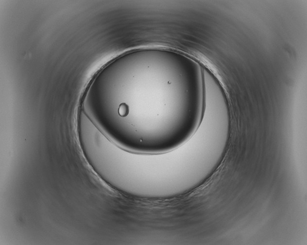 X0000112931480200909141323