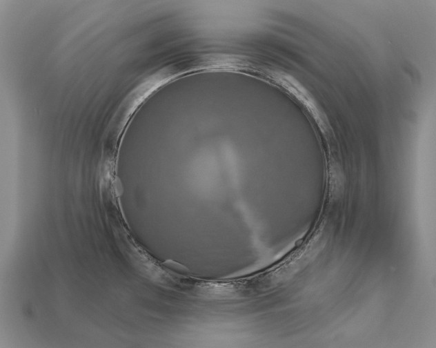 X0000112931481200909141323