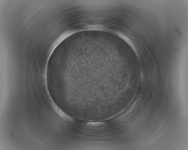 X0000112931482200909141323