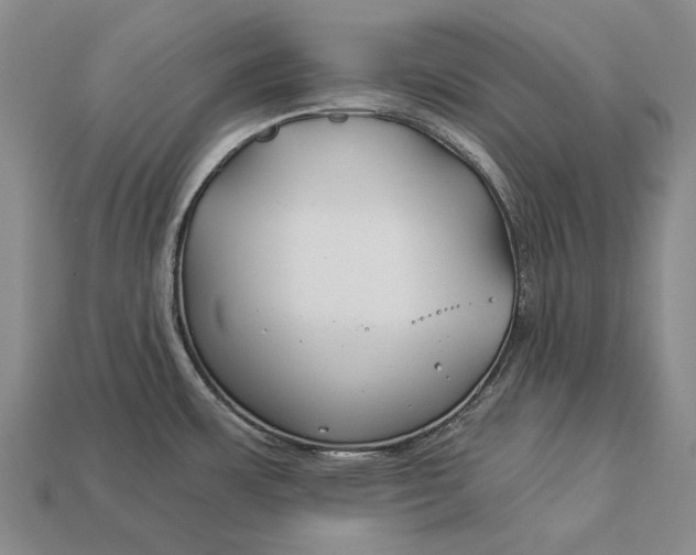 X0000112931483200909141323