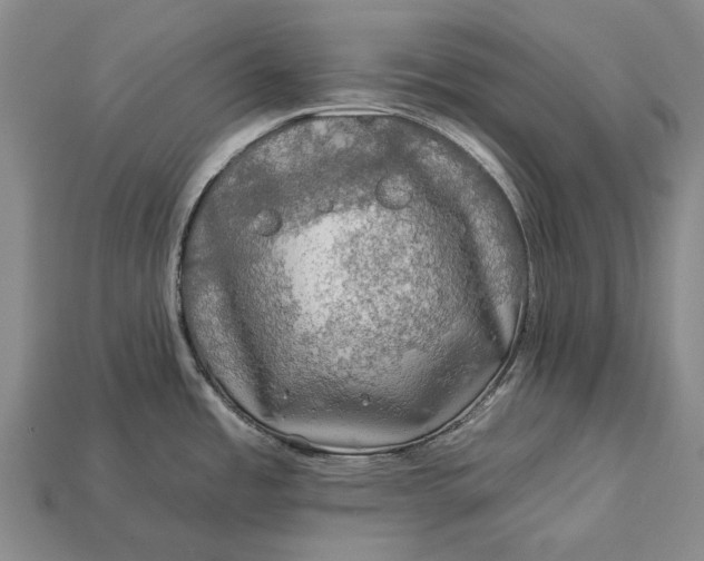 X0000112931485200909141323