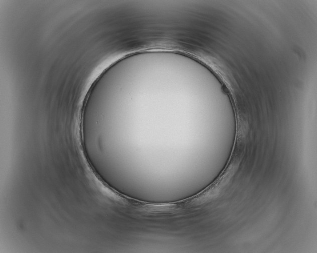 X0000112931486200909141323