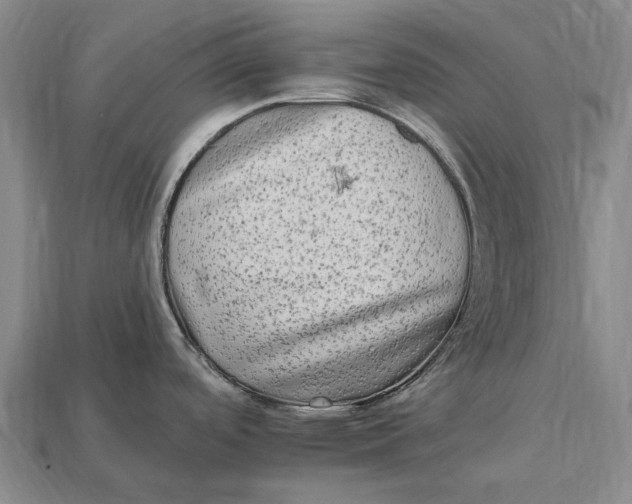 X0000112931488200909141323