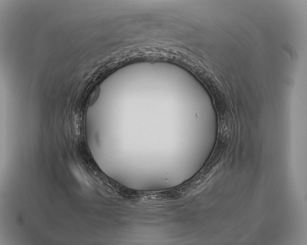 X0000112931490200909141322