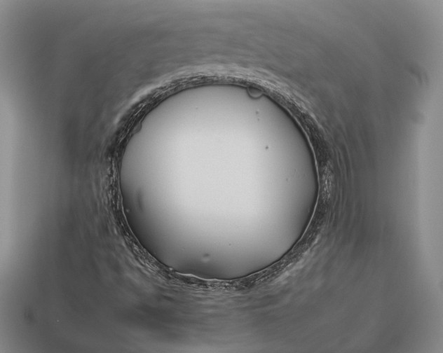 X0000112931494200909141322