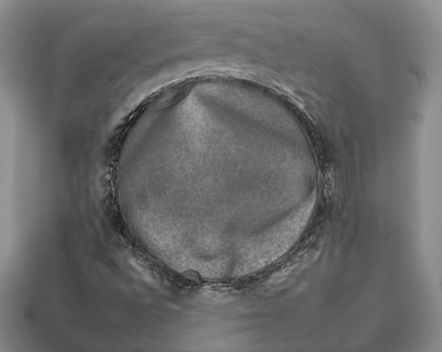 X0000112931496200909141322