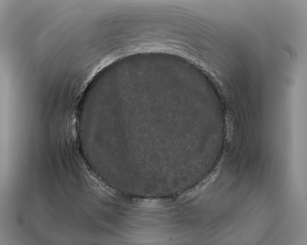 X0000112931497200909141322