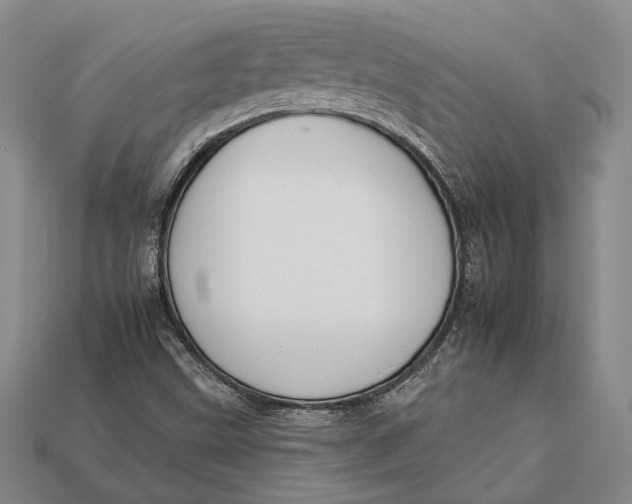 X0000112931499200909141322