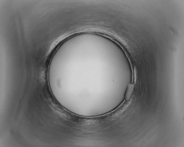 X0000112931501200909141322