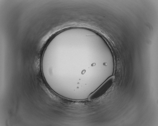 X0000112931503200909141322