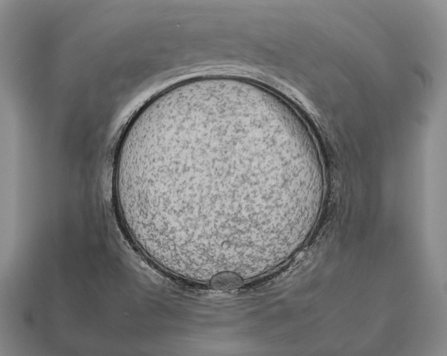 X0000112931504200909141322