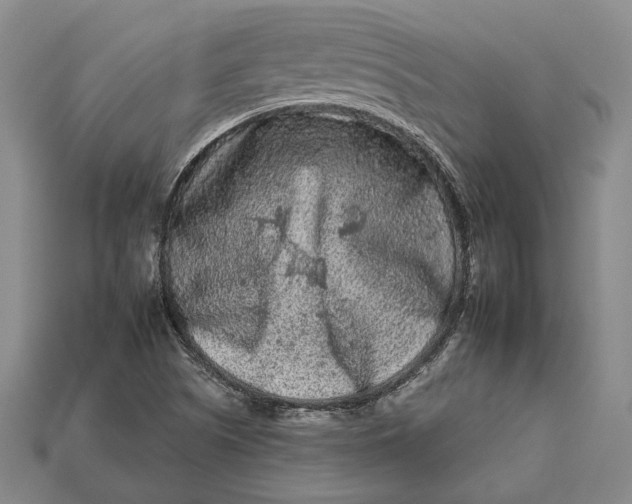 X0000112931505200909141322