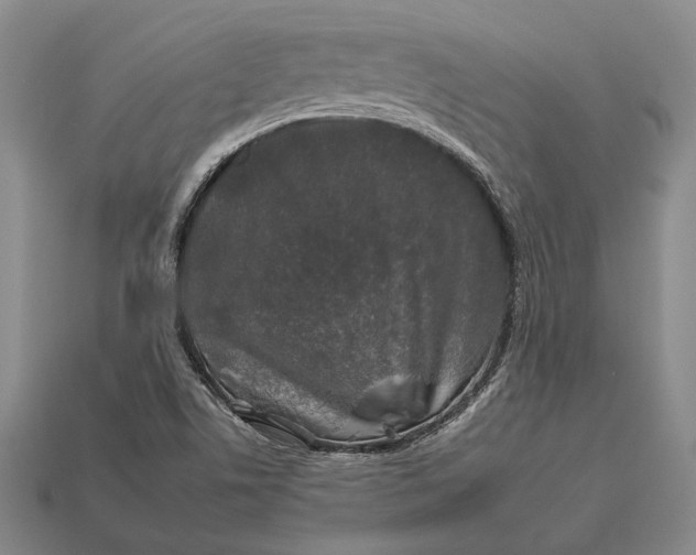 X0000112931506200909141322