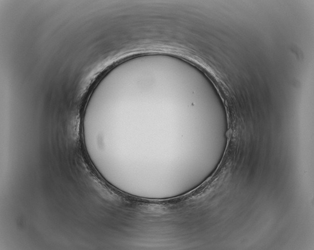 X0000112931507200909141322