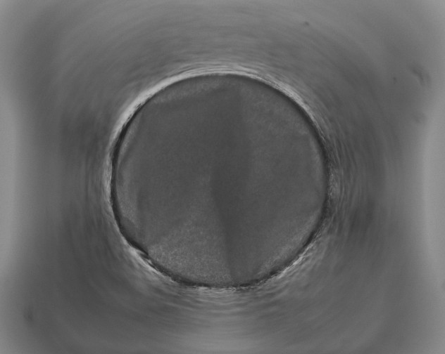 X0000112931508200909141322