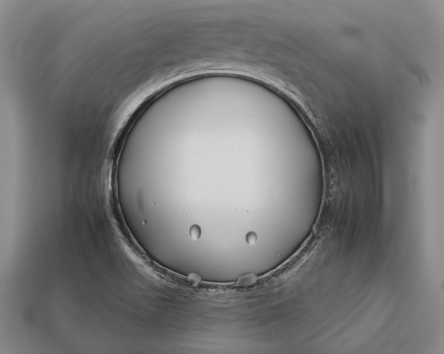 X0000112931511200909141322