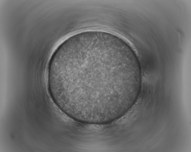 X0000112931514200909141322