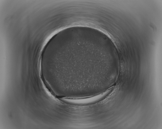 X0000112931515200909141322