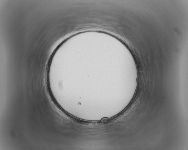 X0000112931518200909141322