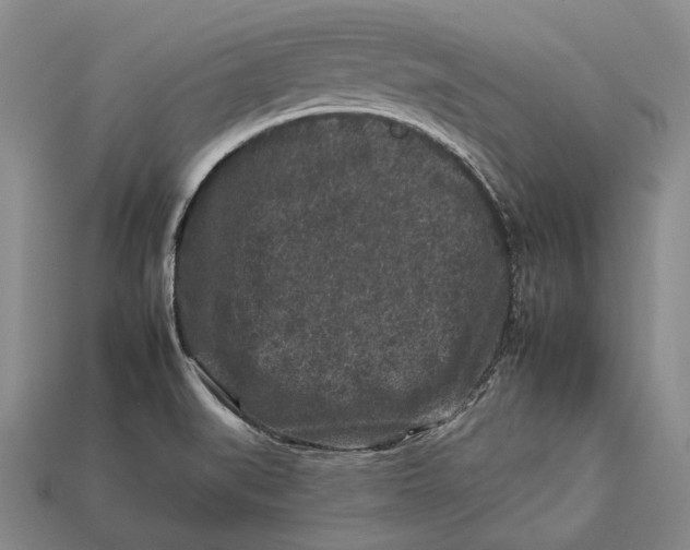 X0000112931519200909141322