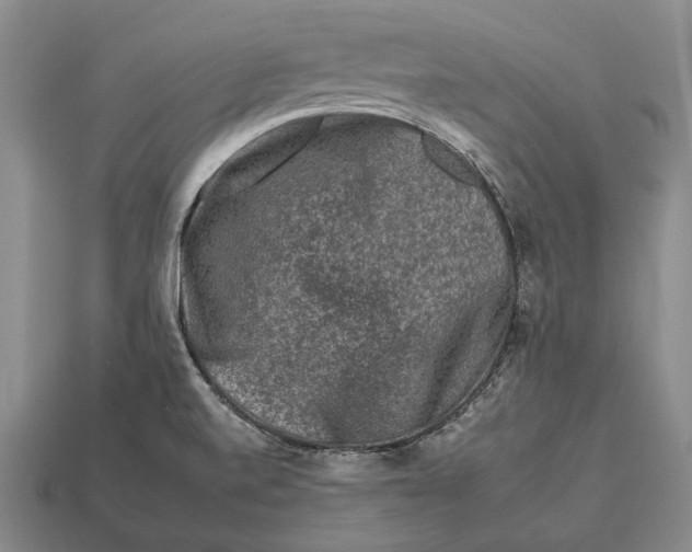 X0000112931520200909141322