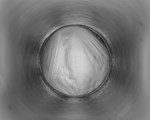 X0000112931521200909141322