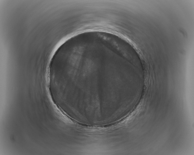 X0000112931522200909141322