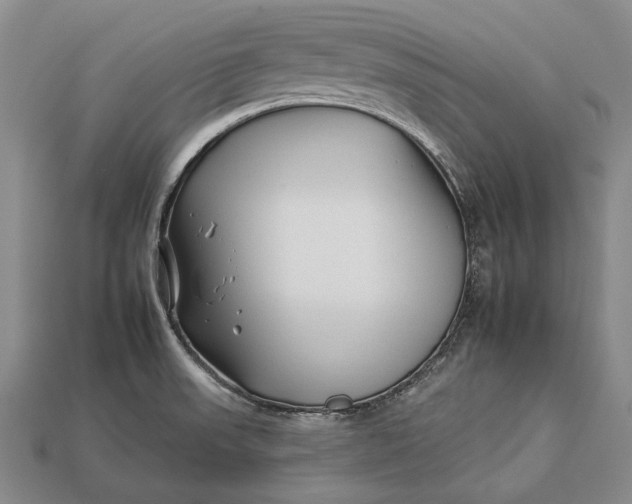 X0000112931523200909141322