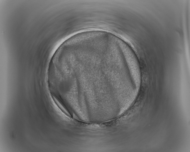 X0000112931524200909141322