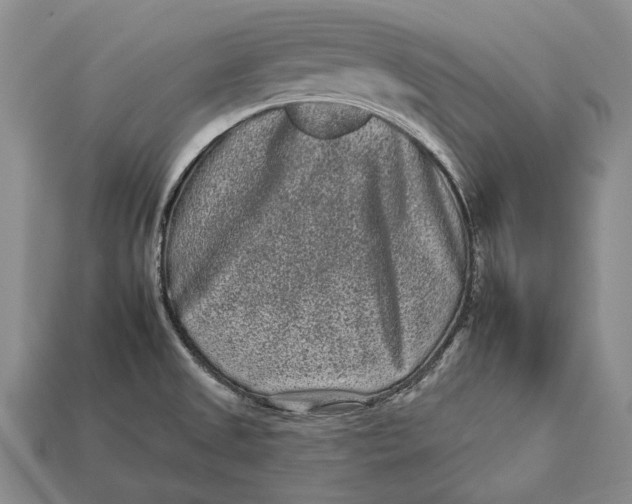 X0000112931525200909141322