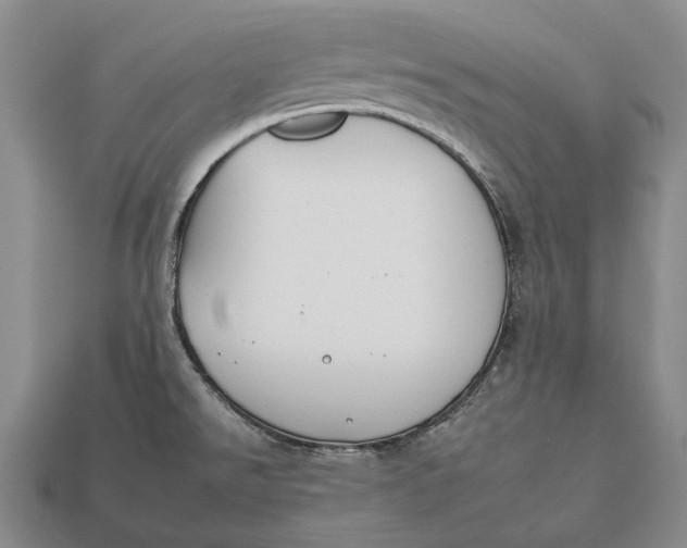 X0000112931526200909141322