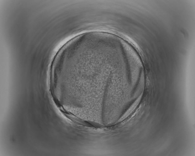 X0000112931528200909141323