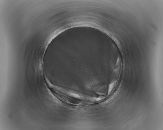 X0000112931529200909141323