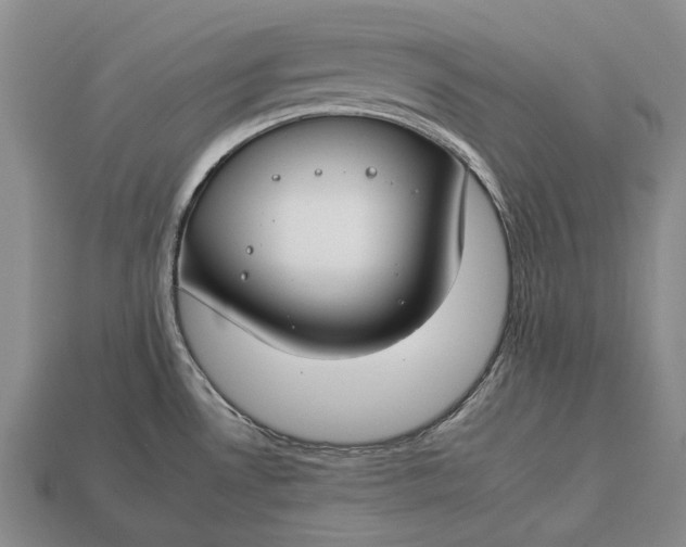 X0000112931530200909141323