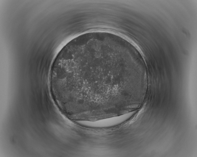 X0000112931533200909141323