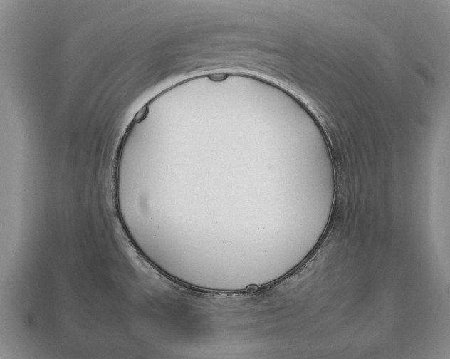 X0000112931534200909141323