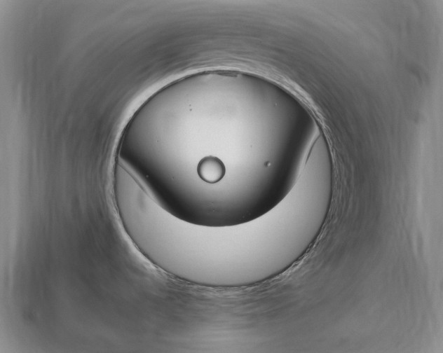 X0000112931536200909141323