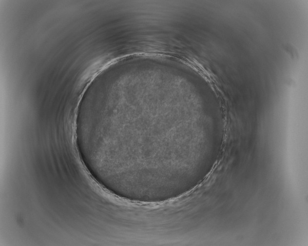 X0000112930002200909211123
