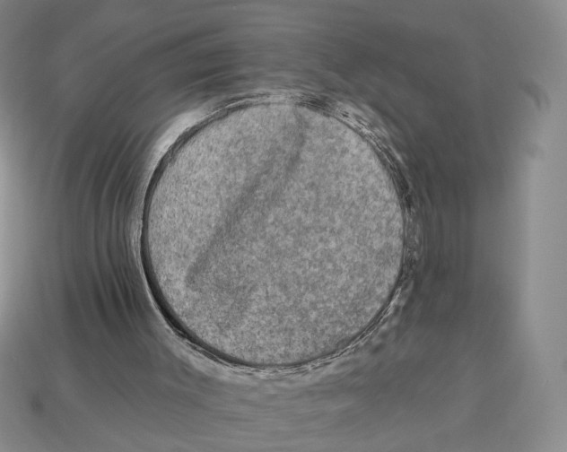 X0000112930003200909211123
