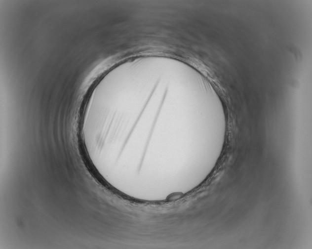 X0000112930007200909211123