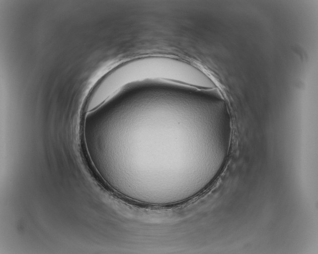 X0000112930008200909211123