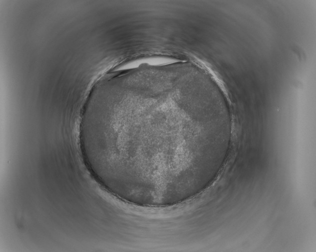 X0000112930010200909211123