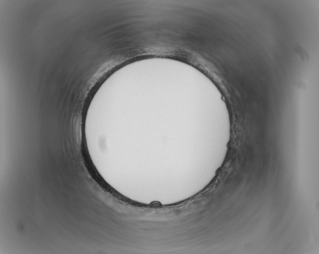 X0000112930011200909211123