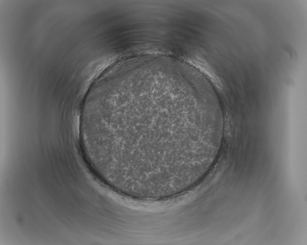X0000112930014200909211122