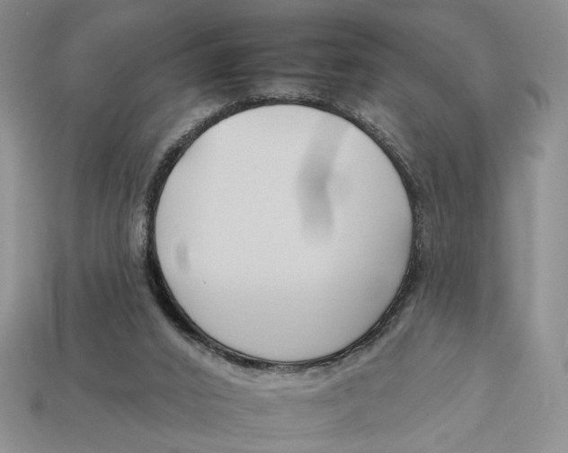 X0000112930016200909211122