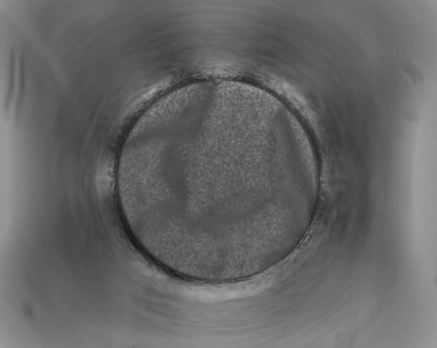 X0000112930017200909211122