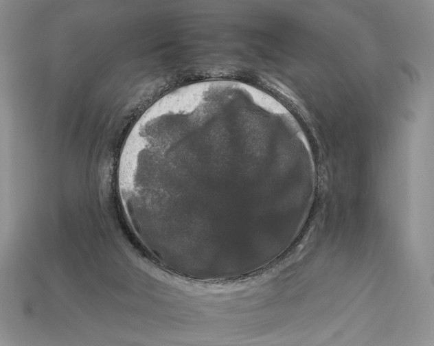 X0000112930018200909211122