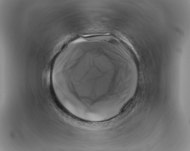 X0000112930019200909211122